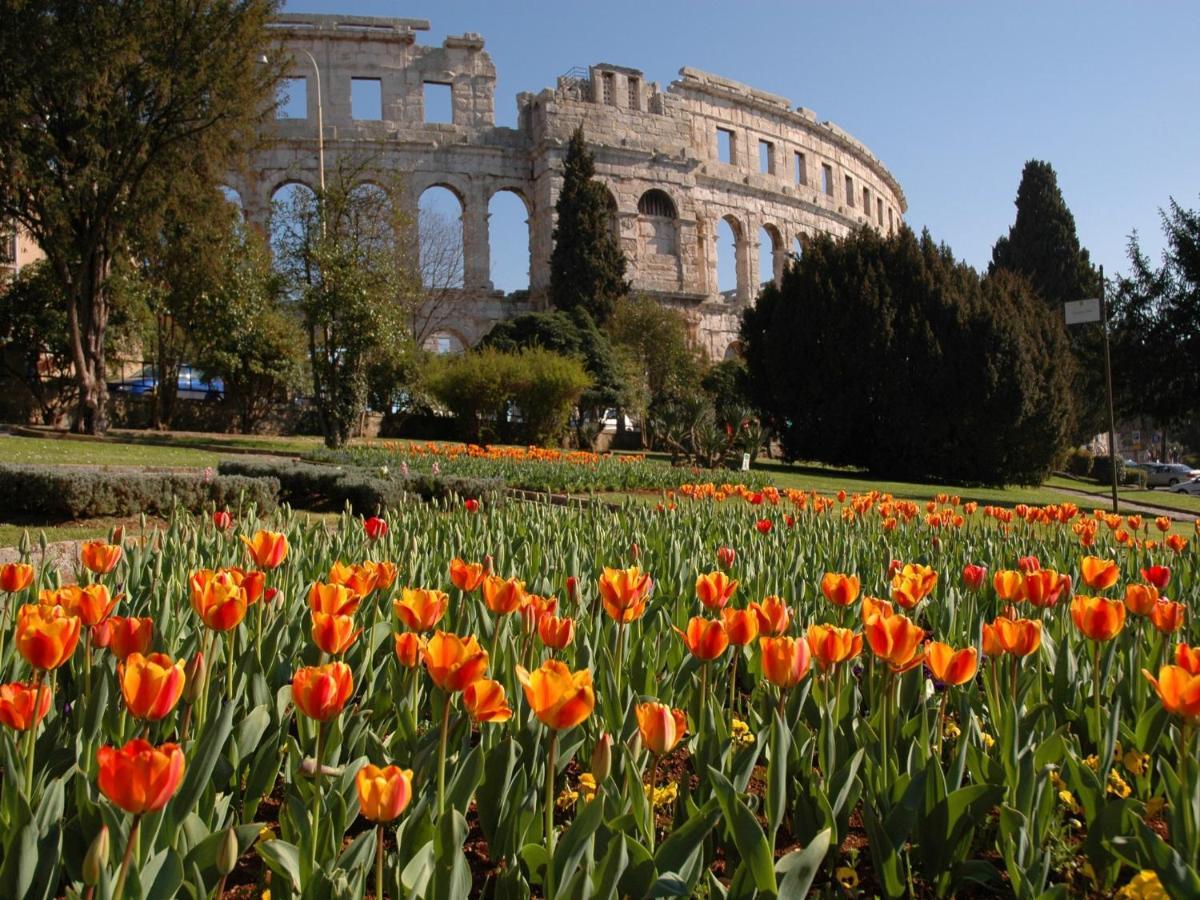 Point * Pula